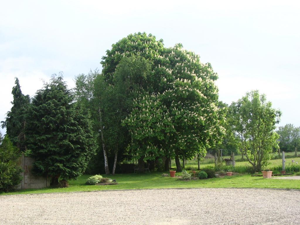 Les Malvaux Bed and Breakfast Huriel Eksteriør billede